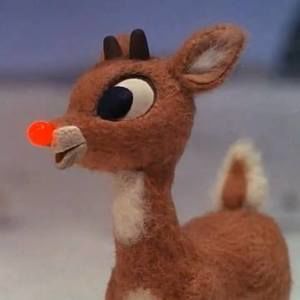 Meet your Posher, Jody